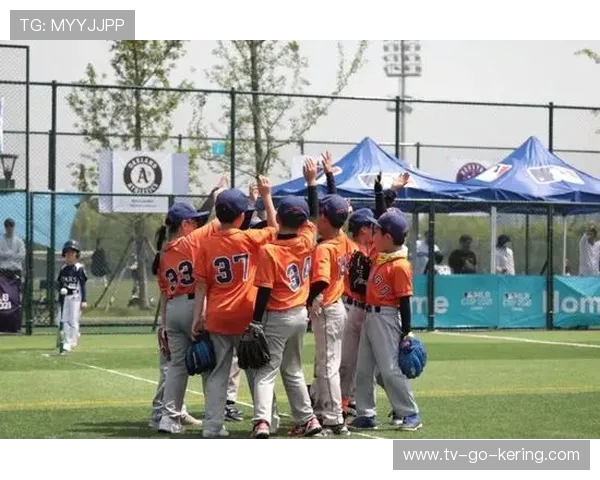 新时代跳水运动发展趋势与青少年人才培养路径综合实践研究探索篇