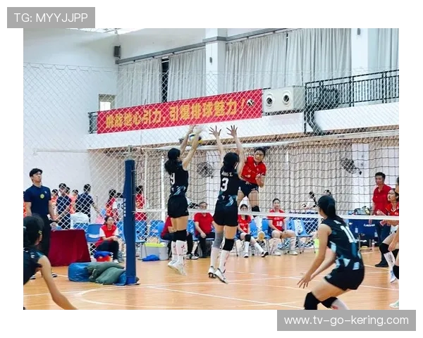 排球盛宴：深入解析深圳排球队的默契配合与战术策略
