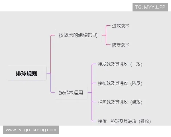 杭州排球队战术分析揭示其在全国排球战术排行榜中名列第七的原因
